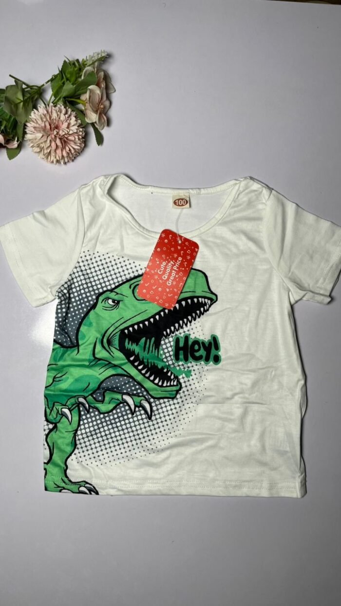 Boy Toddler T-Shirt S17