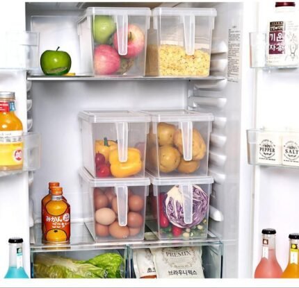 5L Fruit Bowl (1pcs)