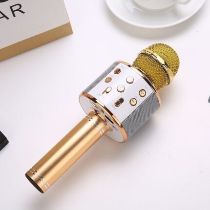 Karaoke Mic for kids with Light
